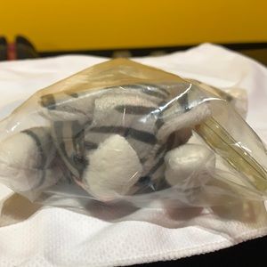 Prance the cat beanie baby